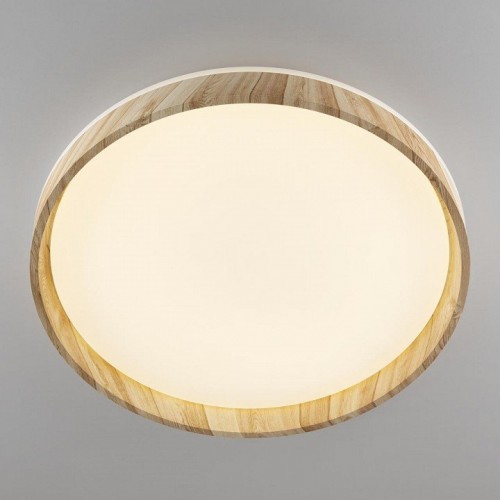 Накладной светильник Citilux ENZO CL753452G Накладной светильник Citilux ENZO CL753452G