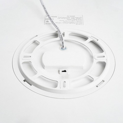 Потолочный светильник Feron 48883