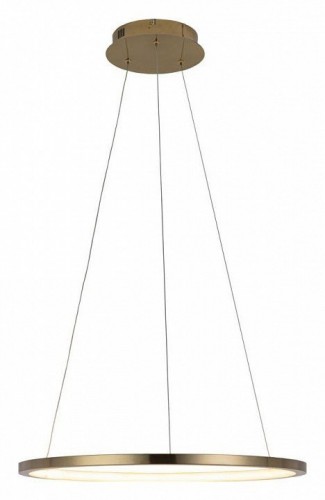 Подвесной светодиодный светильник Loft IT Ring 10014M