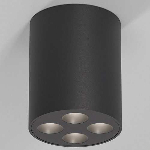 Потолочный светильник Elektrostandard 25111/LED a067485