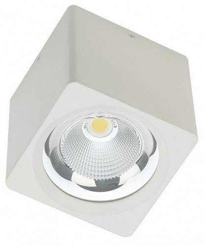 Накладной светильник Fiberli CH-SD220 12120103 Накладной светильник Fiberli CH-SD220 12120103