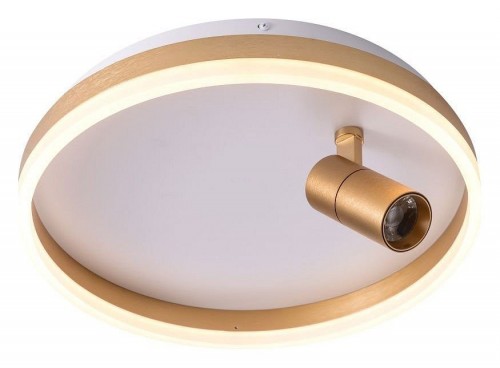 Потолочный светильник Zortes Raizy ZRS.1888.04