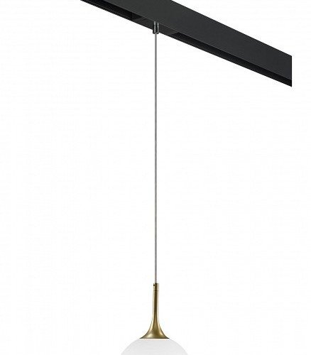 Подвесной светильник Lightstar Globo PRO813022 Подвесной светильник Lightstar Globo PRO813022