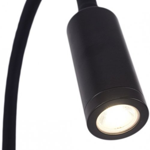 Спот Nikky ZRS.19108.3