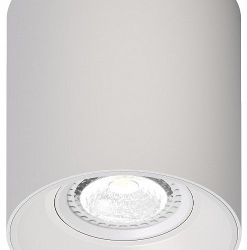 Потолочный светильник Denkirs DK3040-WH