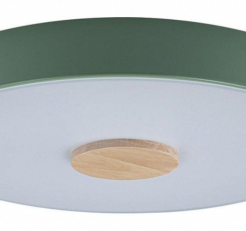 Потолочный светильник Loft IT Axel 10003/24 Green