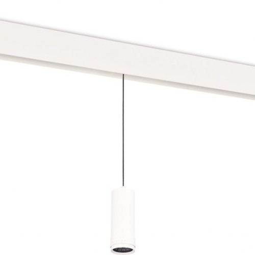 Трековый светильник Donolux Pratica DL20299WW10WS