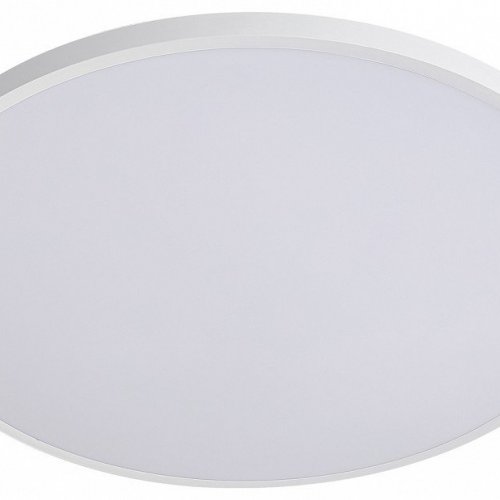 Накладной светильник Lightstar Arco Eco 225720 Накладной светильник Lightstar Arco Eco 225720