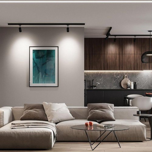 Трековый светодиодный светильник Feron MarketBright AL103 51005