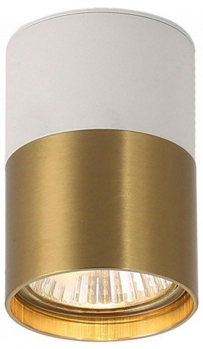 Точечный светильник Lussole Gilbert LSP-8830