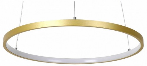 Подвесной светодиодный светильник Favourite Giro 2937-4P