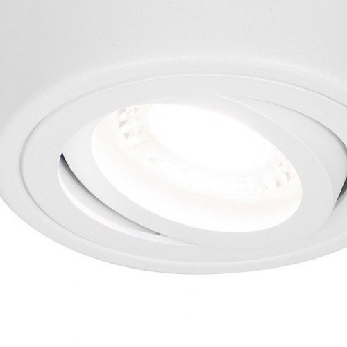Потолочный светильник Ambrella light Techno Spot TN225