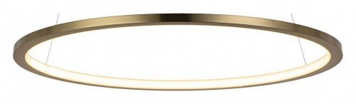 Подвесной светодиодный светильник Loft IT Ring 10014M