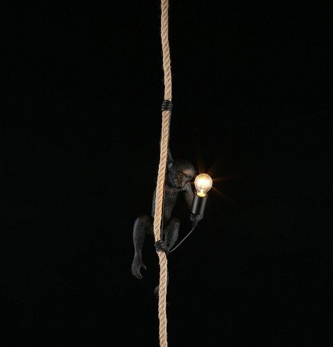 Подвесной светильник Magali APL.309.16.01