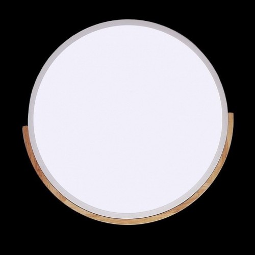 Потолочный светодиодный светильник Jazzway PPB Sсandic-R 5036956