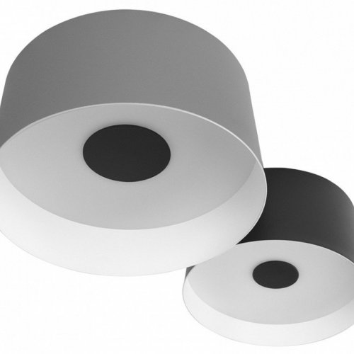 Потолочный светодиодный светильник Loft IT Duo 10360/2