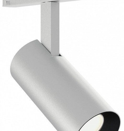 Светильник на штанге ST-Luce SKYLINE 48+ ST2365.546.08_LG_R