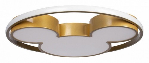 Потолочный светильник Loft IT Mike 10168