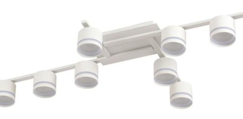 Потолочная люстра Lumion Agnia 8303/10C