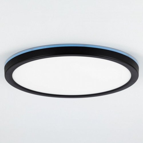 Настенно-потолочный светильник Citilux Basic Line CL738241EL