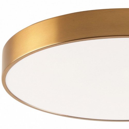 Потолочный светильник Tortty ZRS.02566.96