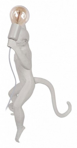 Настенный светильник Loft IT Monkey 10314W/B