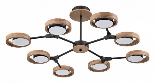 Потолочная люстра Arte Lamp Signora A2454PL-8BK