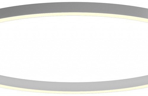 Потолочный светильник 6063 0520838 Потолочный светильник 6063 0520838