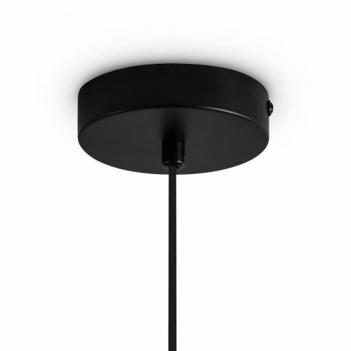 Подвесной светильник Freya Irisa FR5593PL-01B1 Подвесной светильник Freya Irisa FR5593PL-01B1