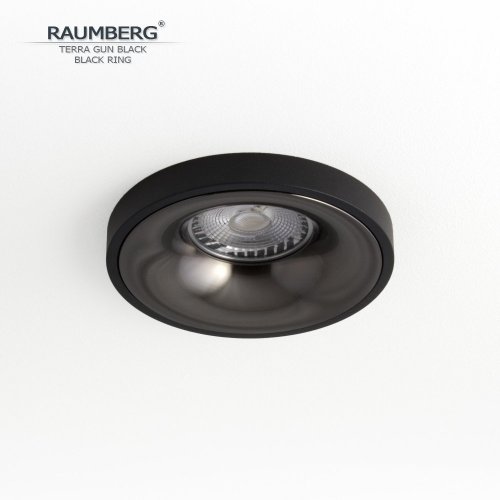 Точечный светильник Terra TerraGBk\Bk Точечный светильник Terra TerraGBk\Bk