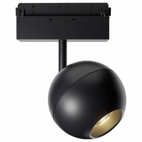 Светильник на штанге Maytoni Ball TR028-2-15W4K-B Светильник на штанге Maytoni Ball TR028-2-15W4K-B