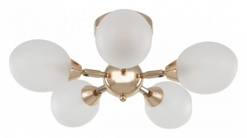 Потолочная люстра Arte Milano Napoli-2420 332420/5 FGD