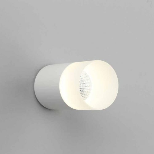 Потолочный светодиодный светильник Omnilux Ercolano OML-100009-05