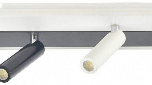 Настенно-потолочный светильник Escada 20047LED 20047SMA/01LED WH/BK