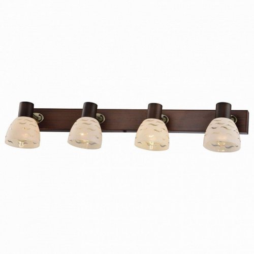Настенно-потолочный светильник Toplight Shayla TL3730Y-04BB Настенно-потолочный светильник Toplight Shayla TL3730Y-04BB