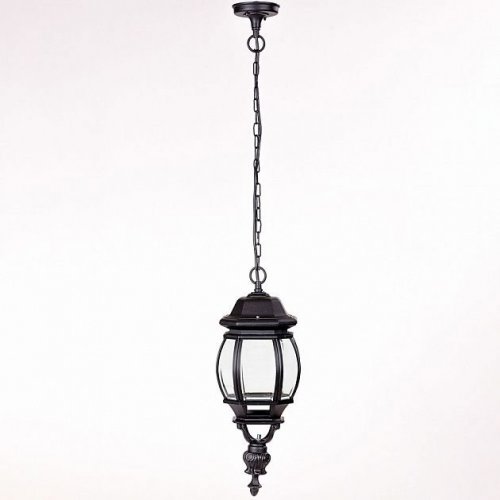 Уличный светильник подвесной Oasis Light 83405L Bl
