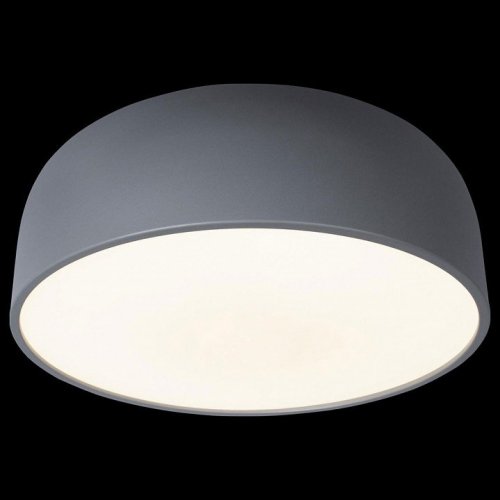 Потолочный светильник Loft IT Axel 10201/480 Grey