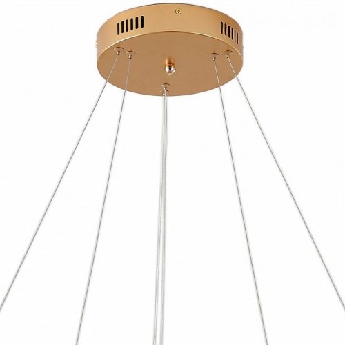 Подвесной светильник Ringolight ZRS.33320.63C