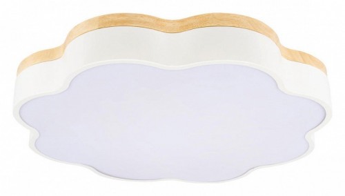 Потолочный светильник Loft IT Axel 10225/36 White