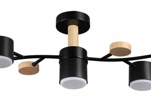 Потолочная люстра Lumion Crypto 8194/5C