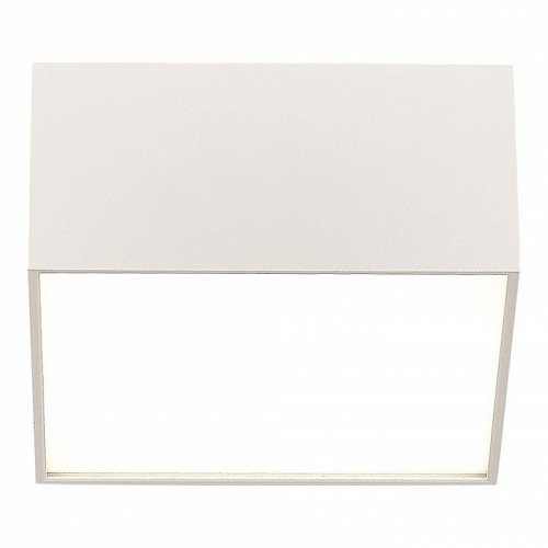 Потолочный светильник ST Luce ST608.542.12 Потолочный светильник ST Luce ST608.542.12