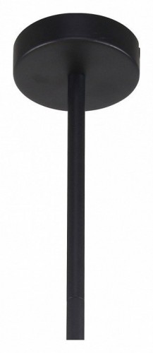 Подвесная люстра F-Promo Chart 3092-6P