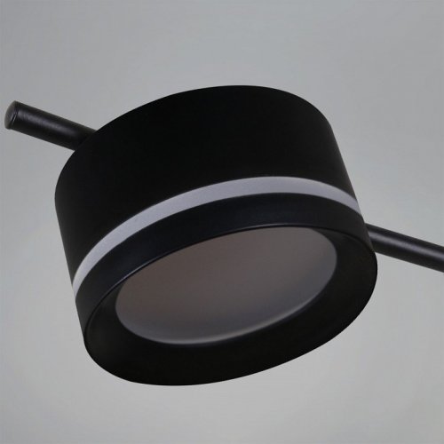 Потолочная люстра Reluce 10590-0.3-06 Black
