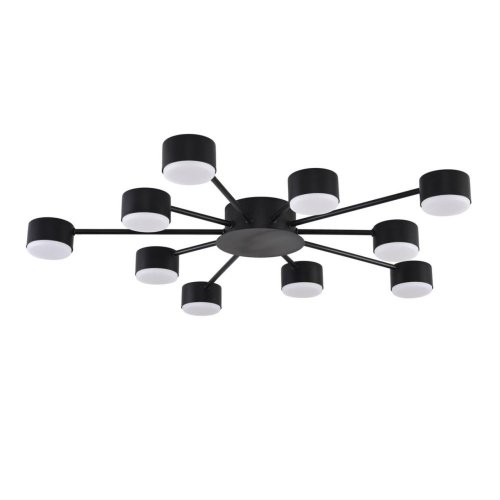 Потолочная люстра Lumion Torina 8344/10C