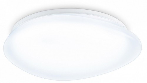 Потолочный светильник Orbital FZ1601