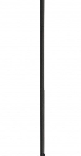 Подвесной светильник Delta 2361-1 BK+SL