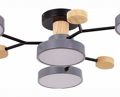 Потолочная люстра EVOLUCE Faema SLE6006-702-04