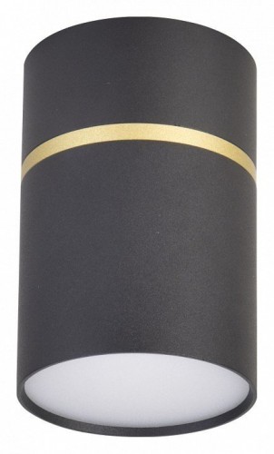 Потолочный светодиодный светильник Favourite Dunia 3068-1C