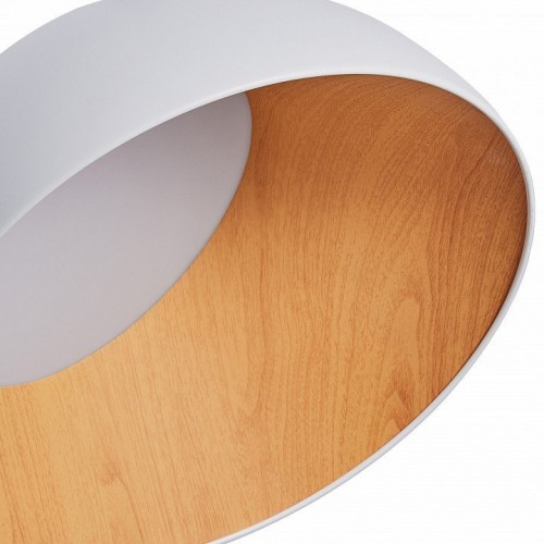 Потолочный светильник Zortes Baum ZRS.01201.19