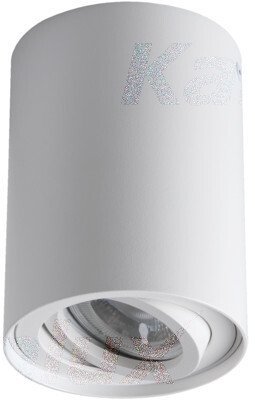 Точечный светильник Kanlux BORD 25479 Точечный светильник Kanlux BORD 25479